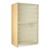 Extra Large Instrument Cabinet w/ Grille Door - 2 Compartments (Fixed Shelf) - 29" D